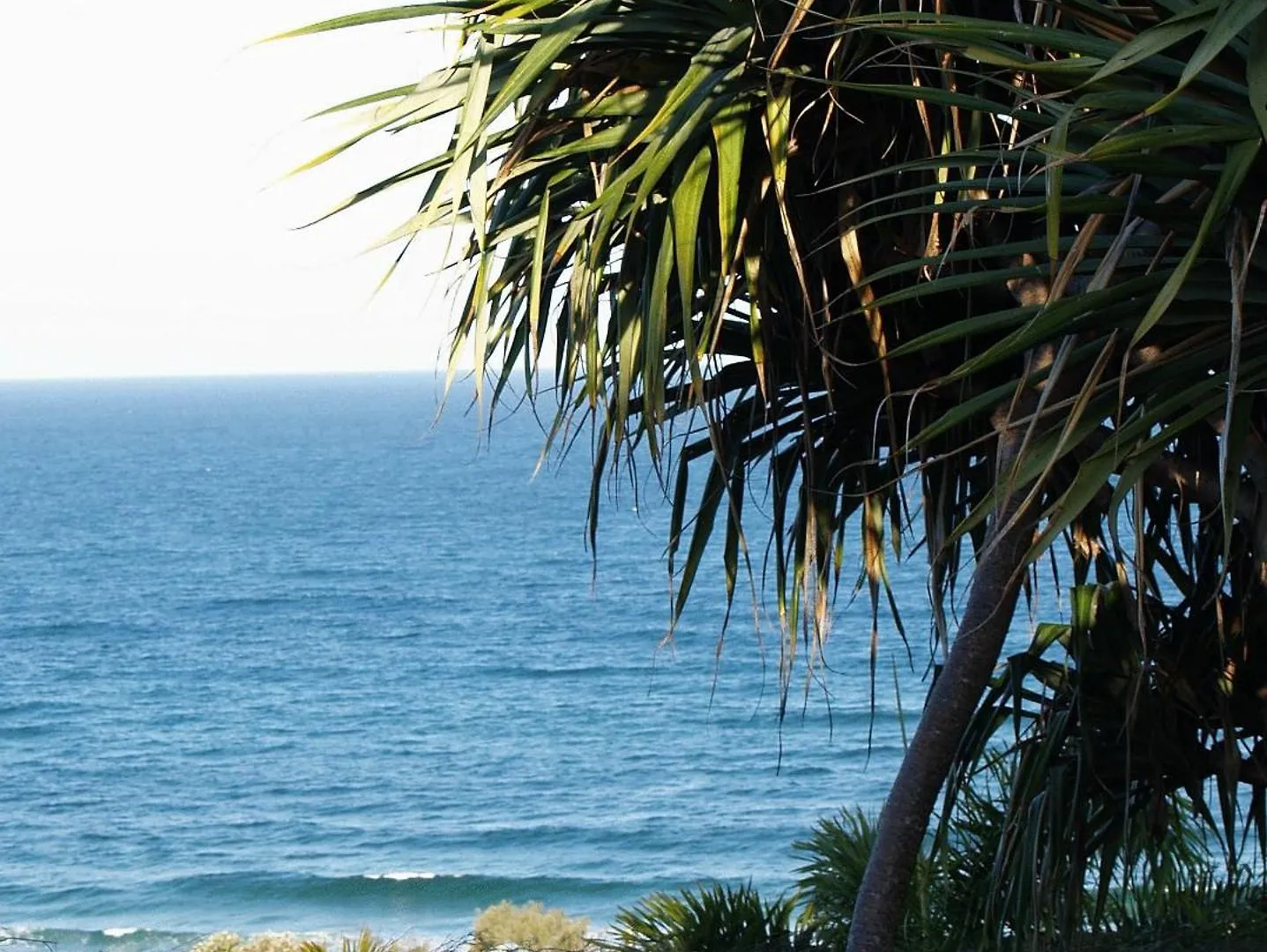 Sunseeker Holiday Apartments Sunshine Beach Australia